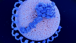 Zbliżenie pod mikroskopem trójglicerydy