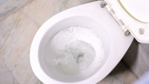 Usunięty kamień w muszli klozetowej